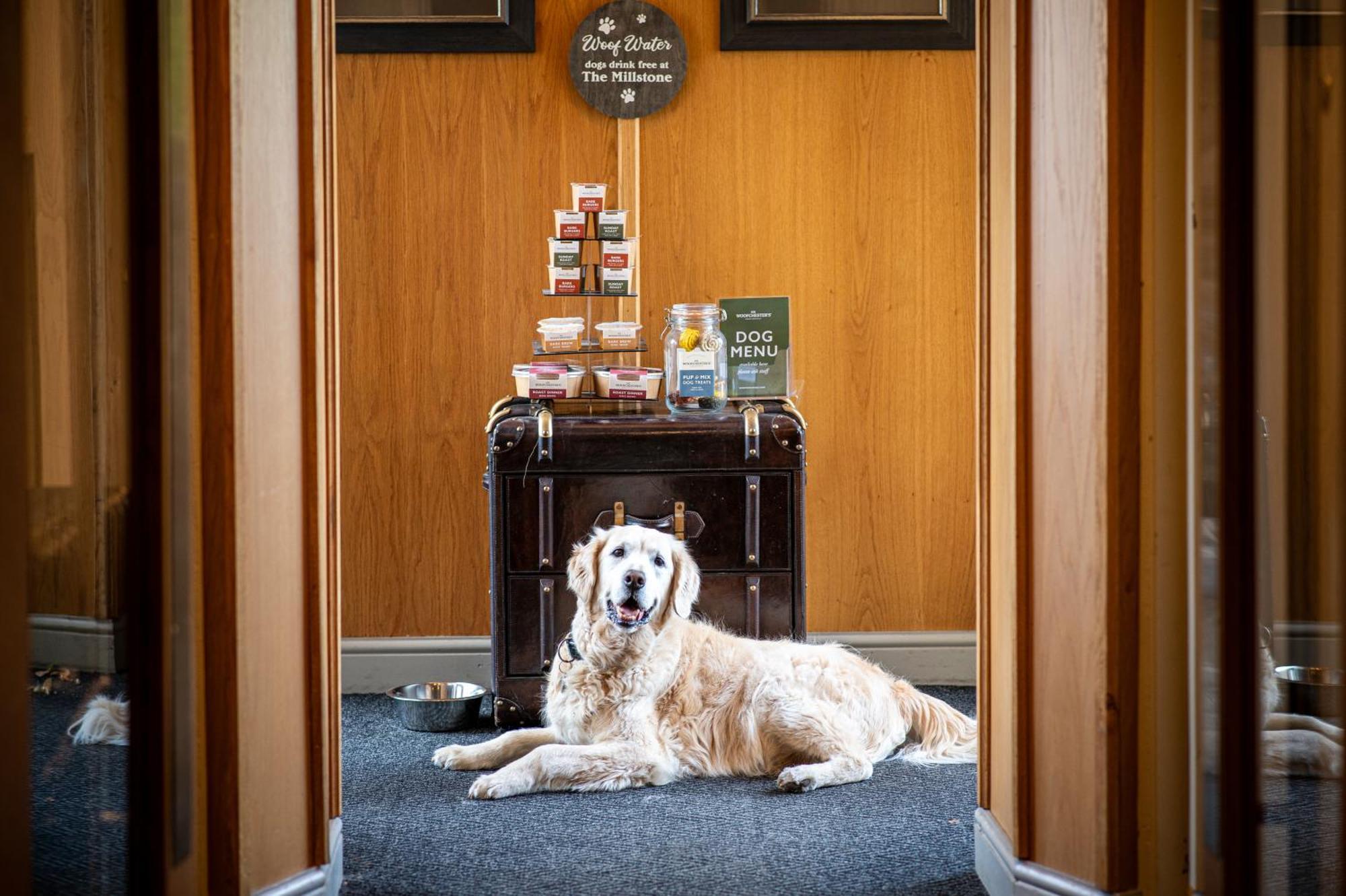 Hotel The Millstone, Mellor Blackburn  Exteriér fotografie The Dog Room